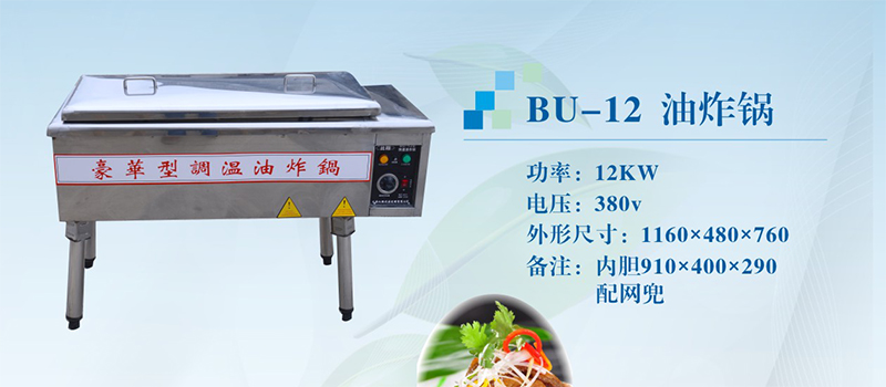 bu-12油炸锅